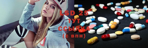 крисы Строитель
