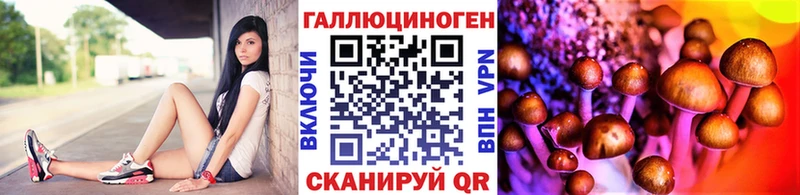 ссылка на мегу онион  Горно-Алтайск  Галлюциногенные грибы прущие грибы 